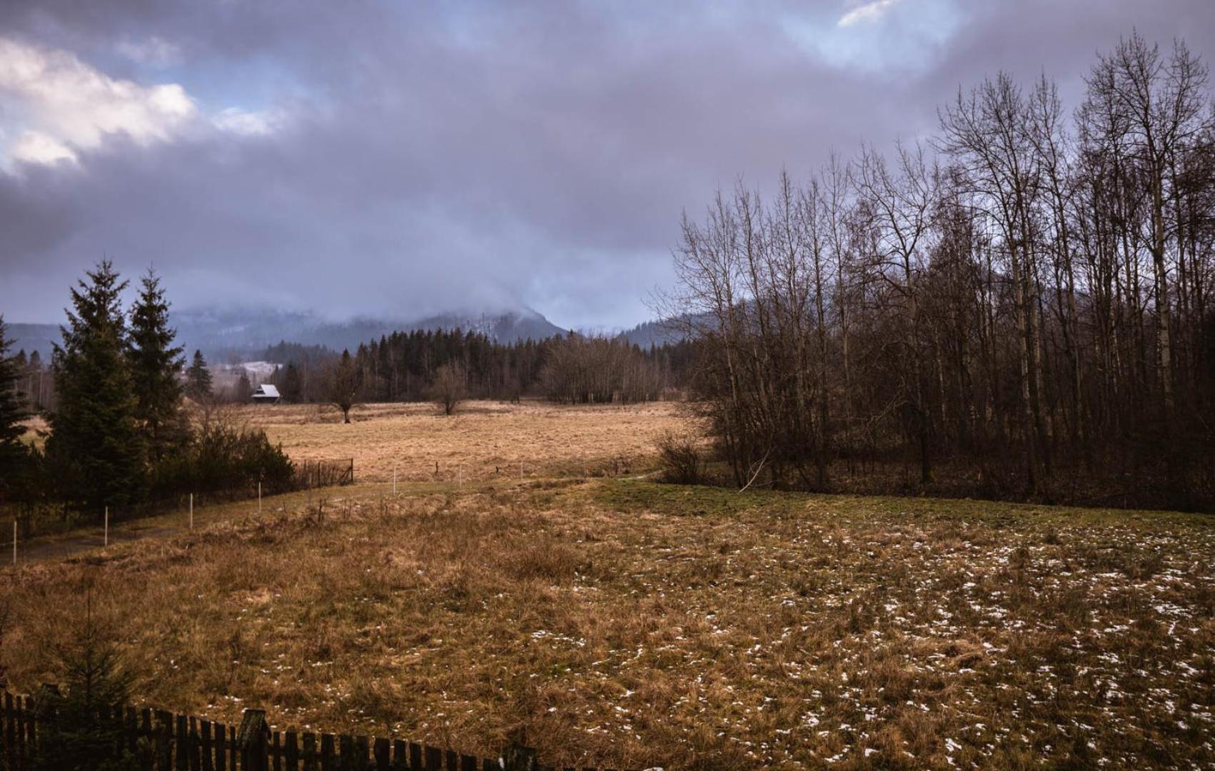 Nosalowka Zakopane Eksteriør bilde